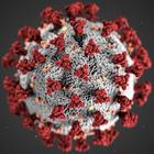 FAKE Un antibiotico fa guarire da Covid-19. Le cose non stanno proprio così